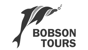 Bobson Tours